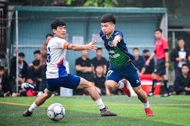 英格兰队备战遭遇窘境装备被盗引发关注